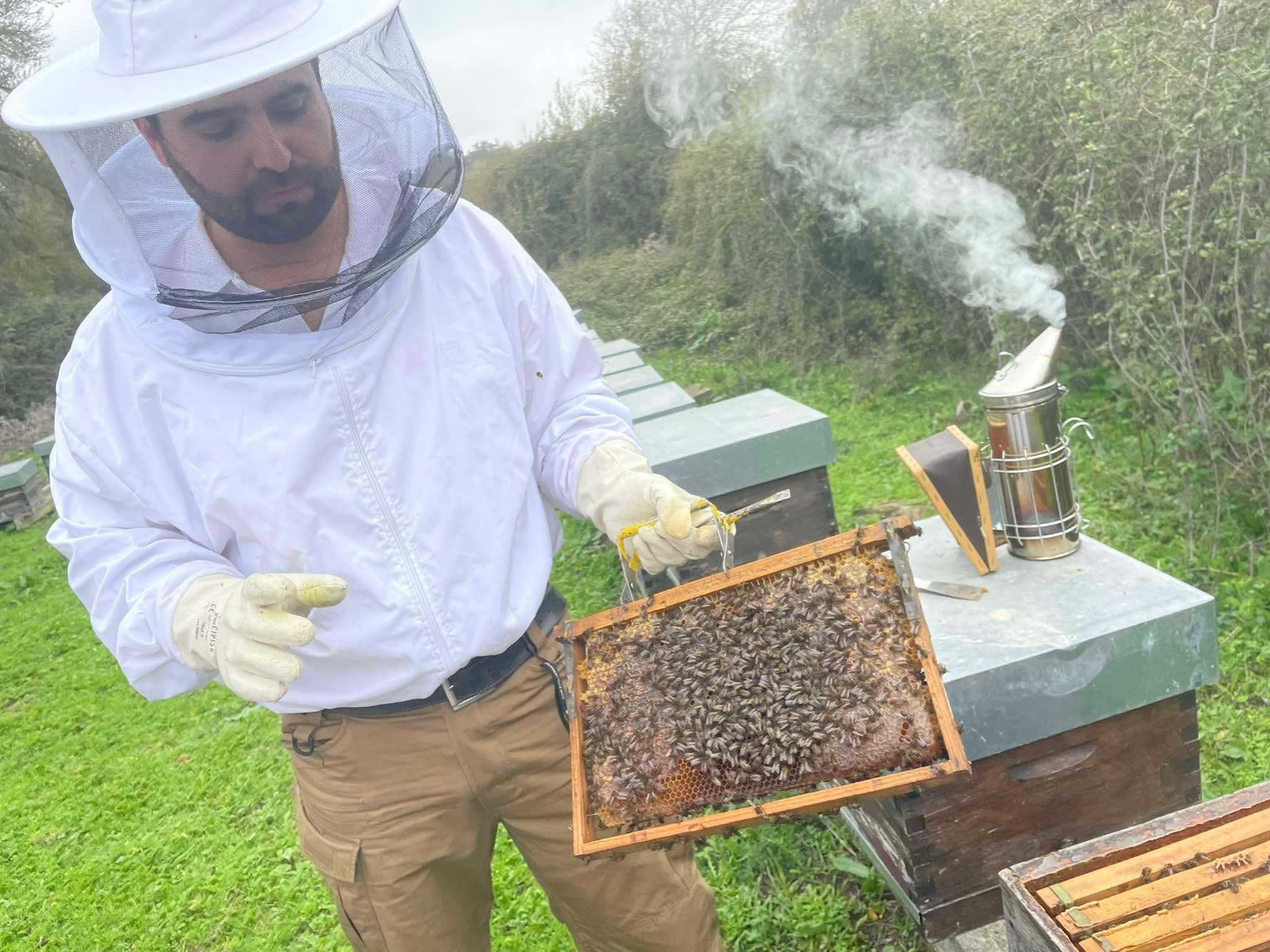 Évora or Montemor-o-Novo: Guided tour of the hives and honey tasting - photo 5