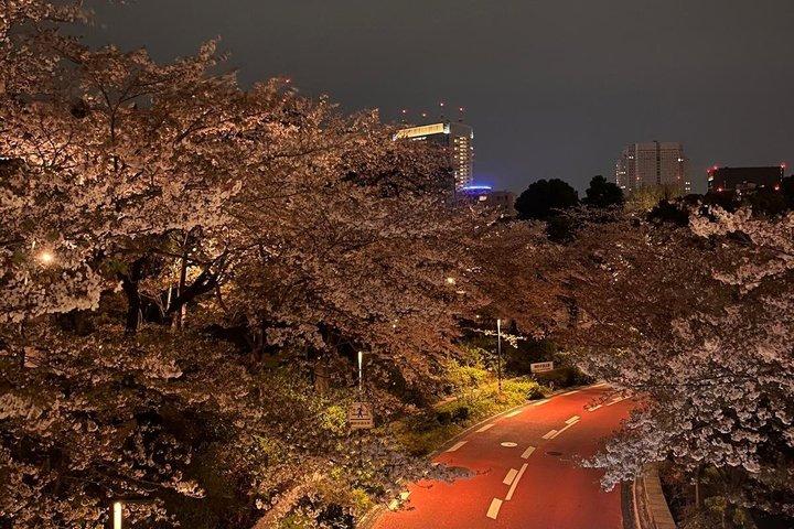 2-Hr Tokyo Night Bike Tour: Shibuya, City Lights & Tokyo Tower - photo 3