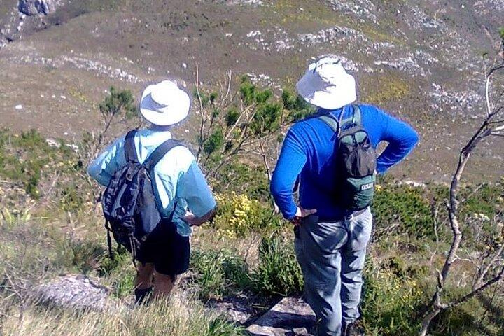 Private Hiking and Trekking on Table Mountain with Guide - photo 5