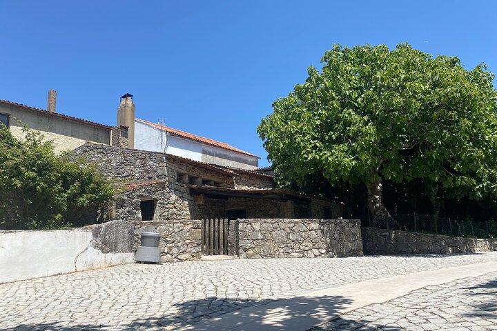 Private: Tour to the Sanctuary of Fátima and Pastorinhos departure from Lisbon - photo 2