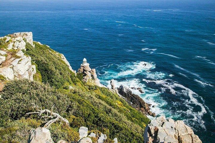 Cape Peninsula Tour - cover photo