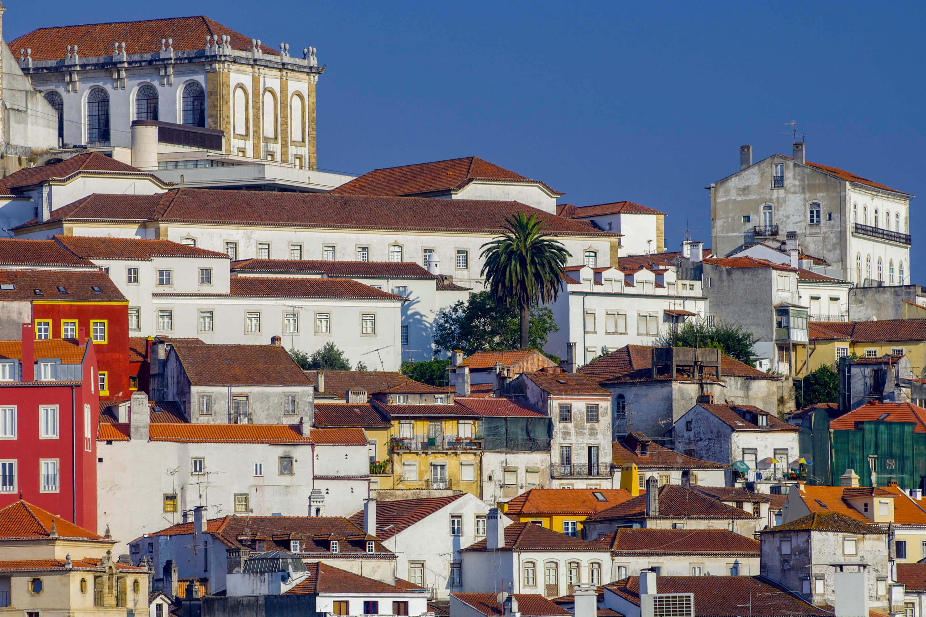 Coimbra: Walking Tour with Audio Guide App - photo 5