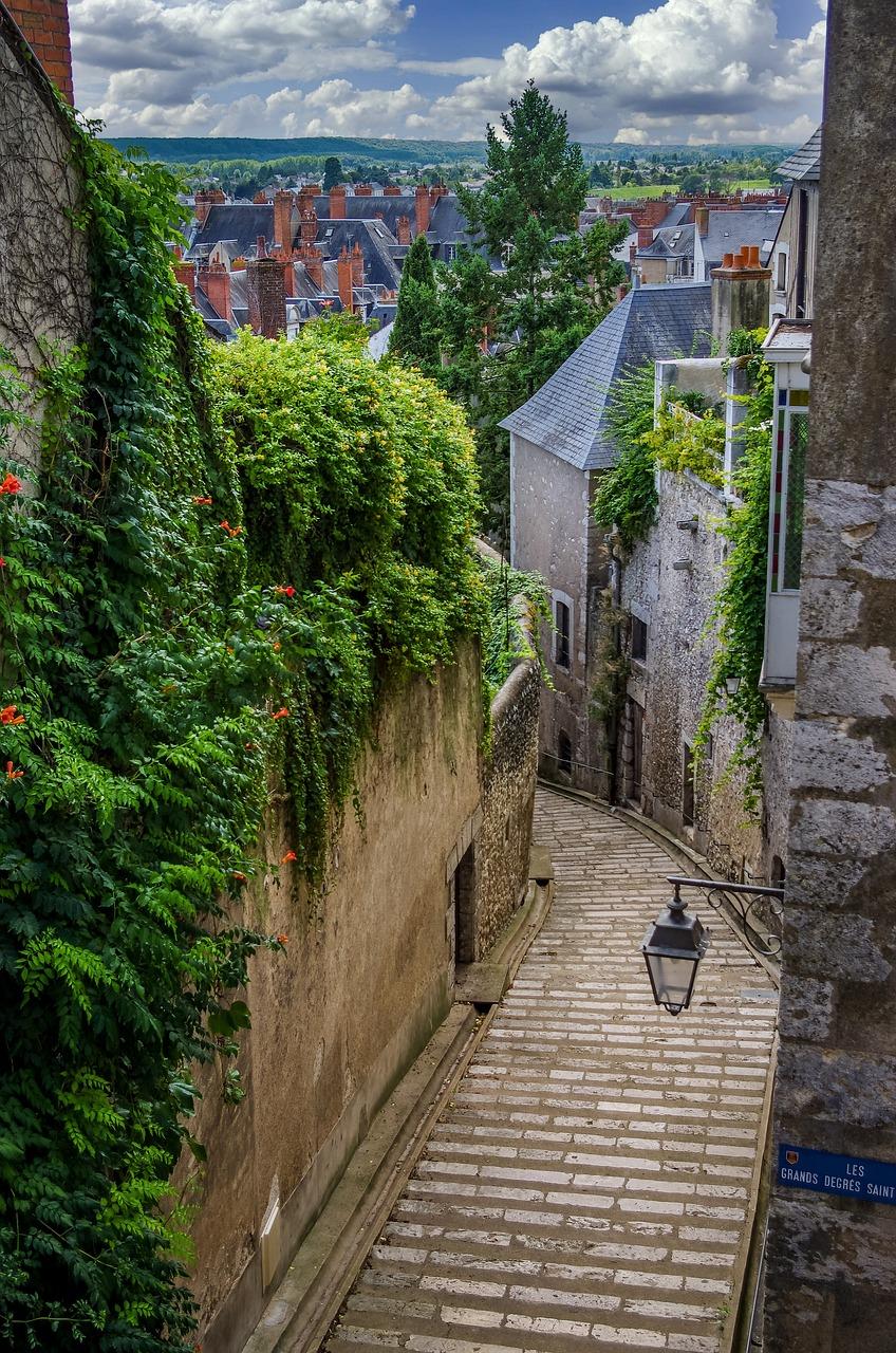 Loire Valley Day Trip: Blois, Chambord, Wine - photo 4
