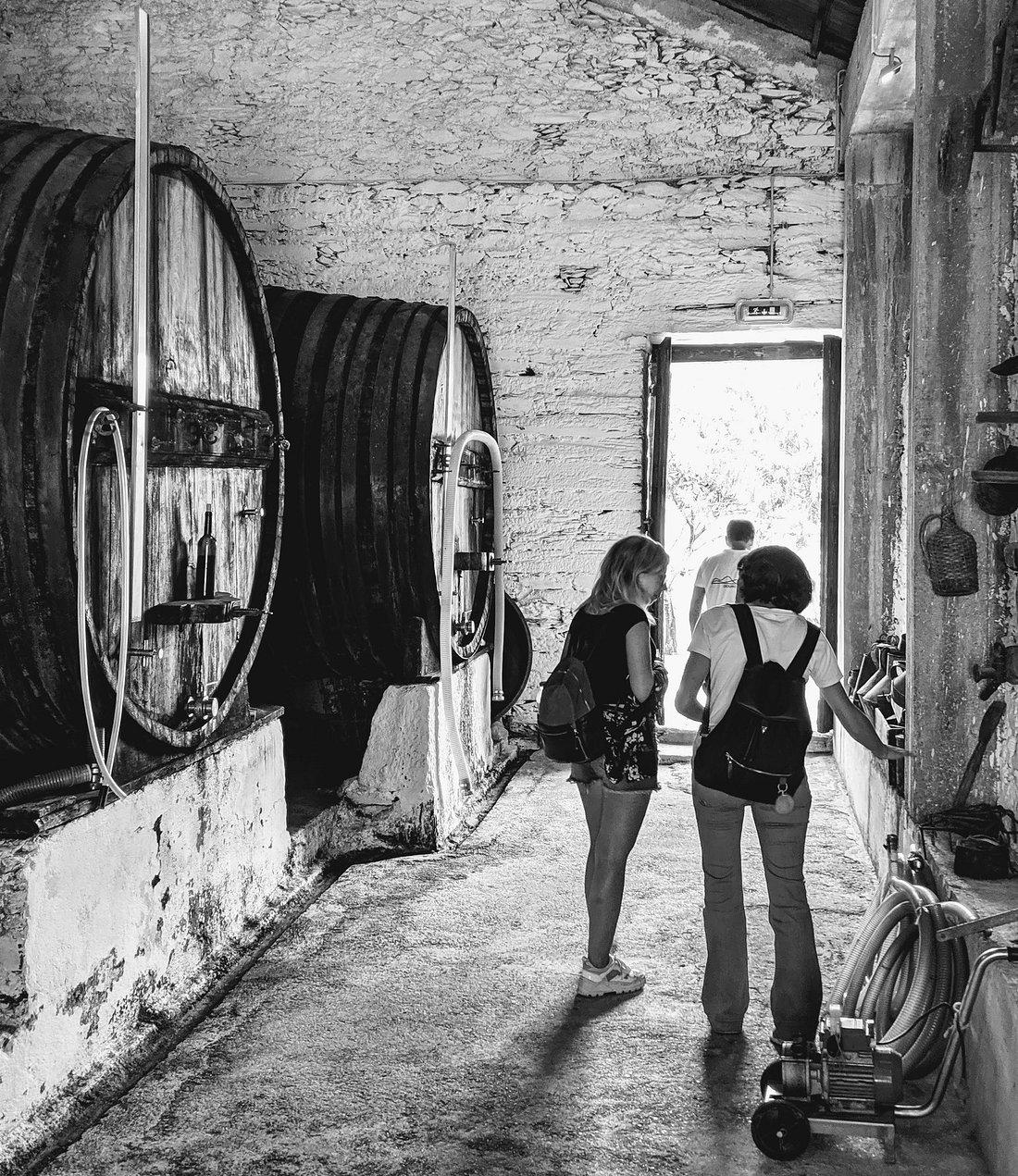 Douro Valley Wine Tour - photo 2