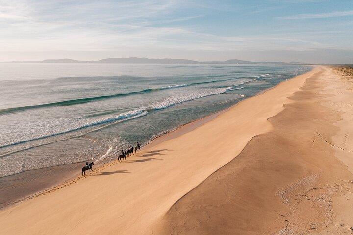 Horse Riding on the Beach with private transfer from Lisbon - photo 2