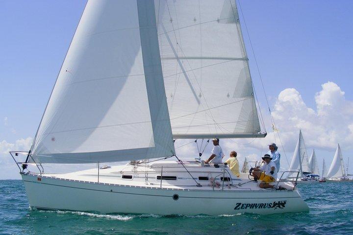 Sailboat Ride in Sado River and Atlantic Ocean - Half Day - cover photo