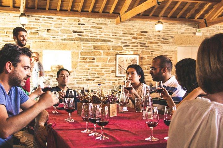 From Porto: Douro Tour with Wine, Cruise and Viewpoint Half-day - cover photo