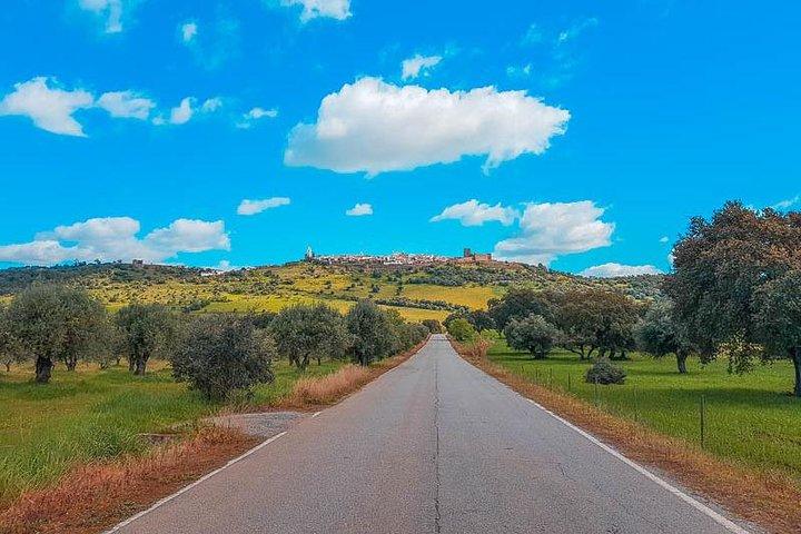 Full Day Excursion to Moura and Alqueva Dam with Boat Cruise - cover photo