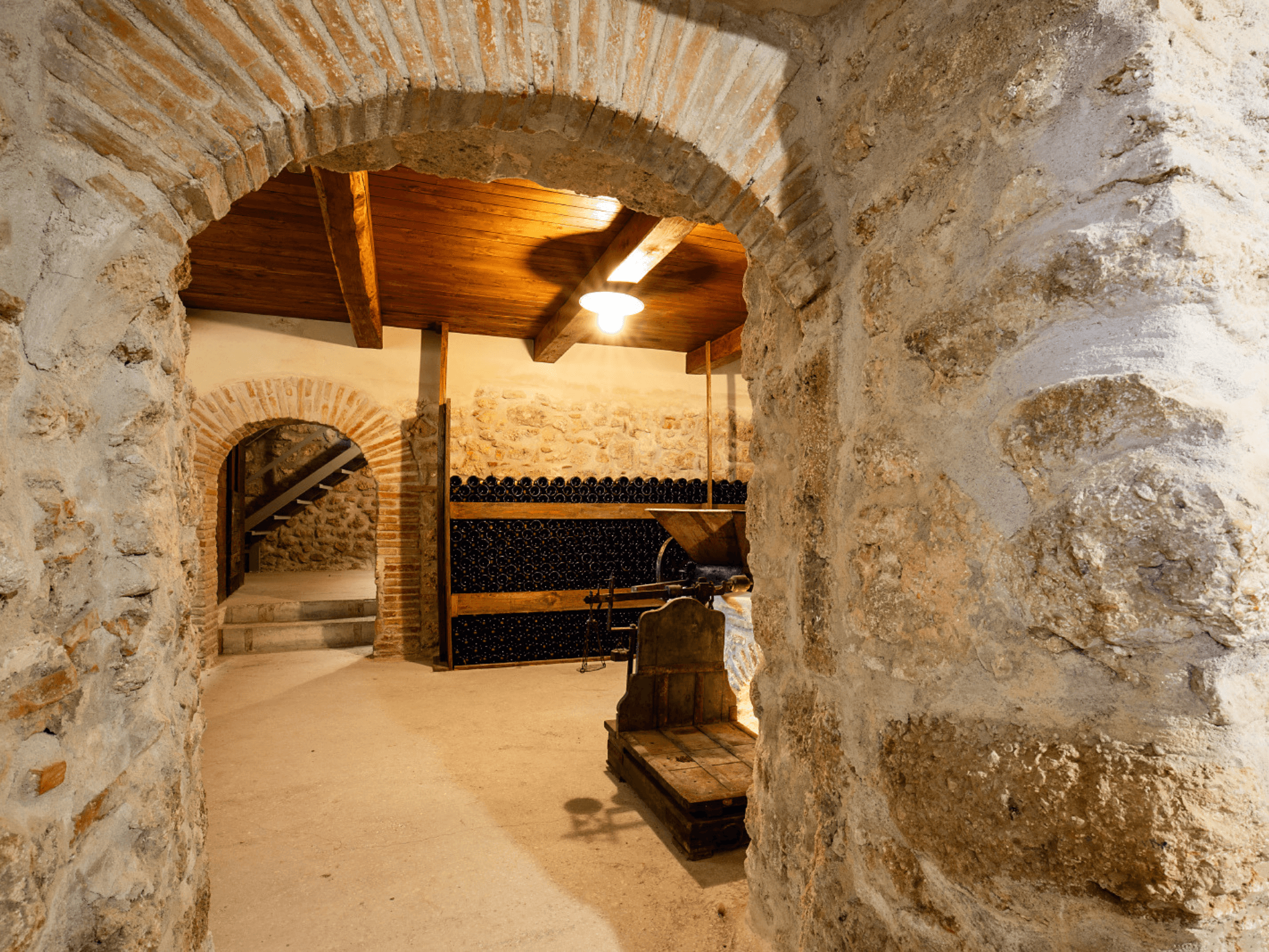 Winery Tour and Wine Tasting in Rieti Countryside - photo 4