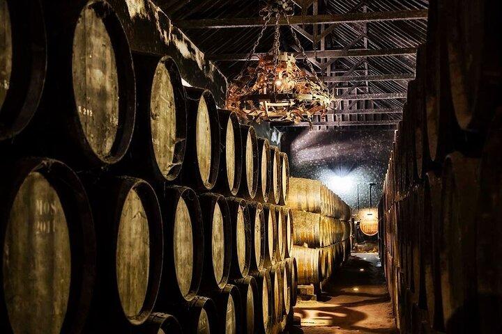 Private Azeitão Wine Tour from Lisbon – Wineries, Moscatel & Local Flavors - cover photo