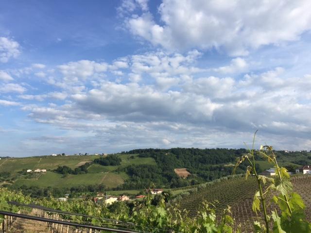 Visita la cantina Pian di Mare - photo 3