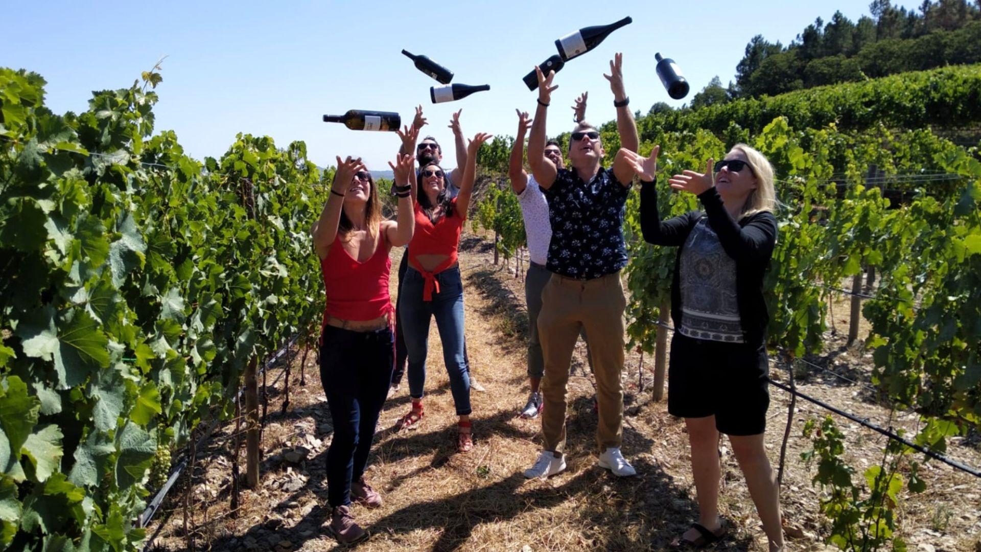 Douro Valley Small Group Tour with Wine Tastings, Lunch and River Cruise - cover photo