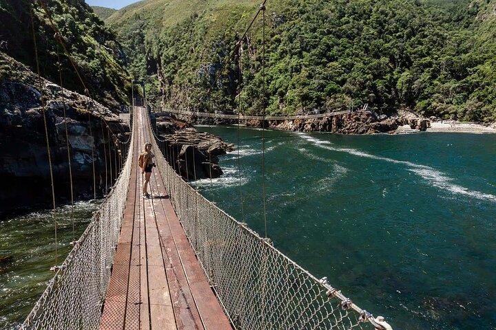 4-day Garden Route Private Tour from Cape Town to Addo Safari - photo 3