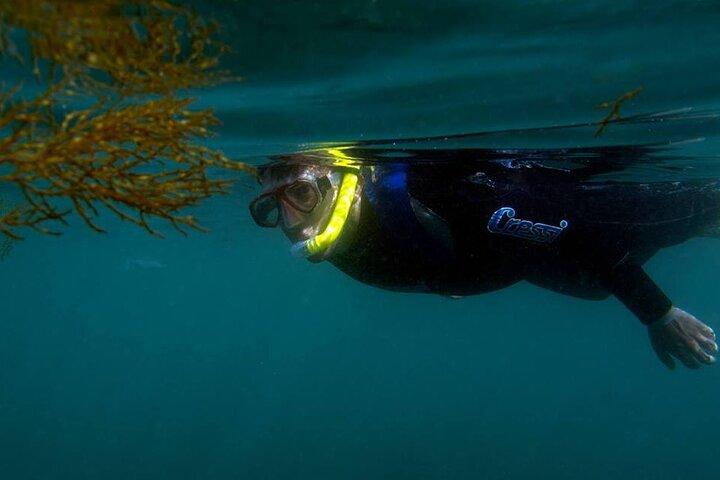Kayak and Snorkeling Adventure in Arrabida - cover photo