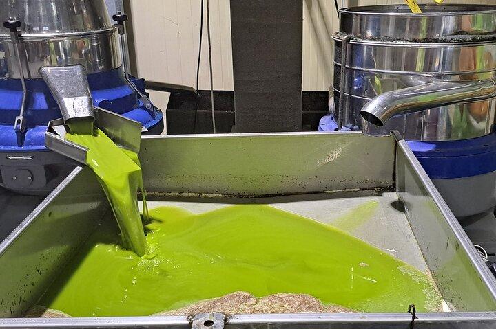 Olive Oil Mill Raki Distillery and Heraklion City Private Tour - cover photo