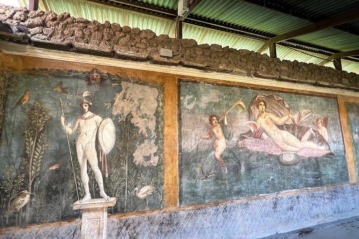 Pompeii with an Archaeologist Shared or Private Tour from Naples - photo 3