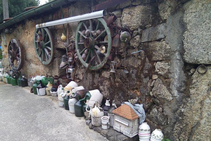 Roots of Minho region - photo 5