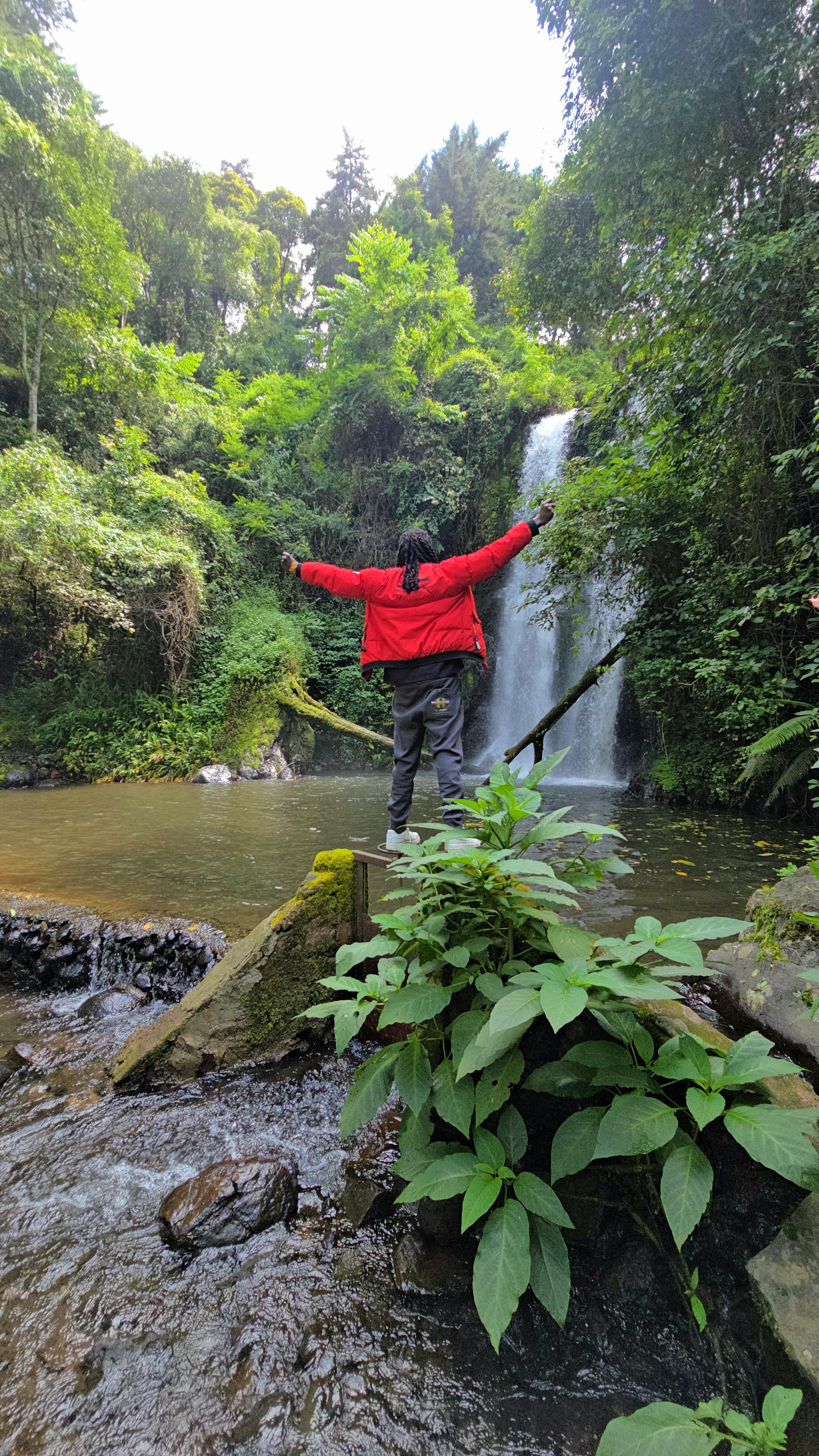 Kilimanjaro: Marangu Day Trip | Waterfalls | Coffee Tour & Chagga Culture - cover photo