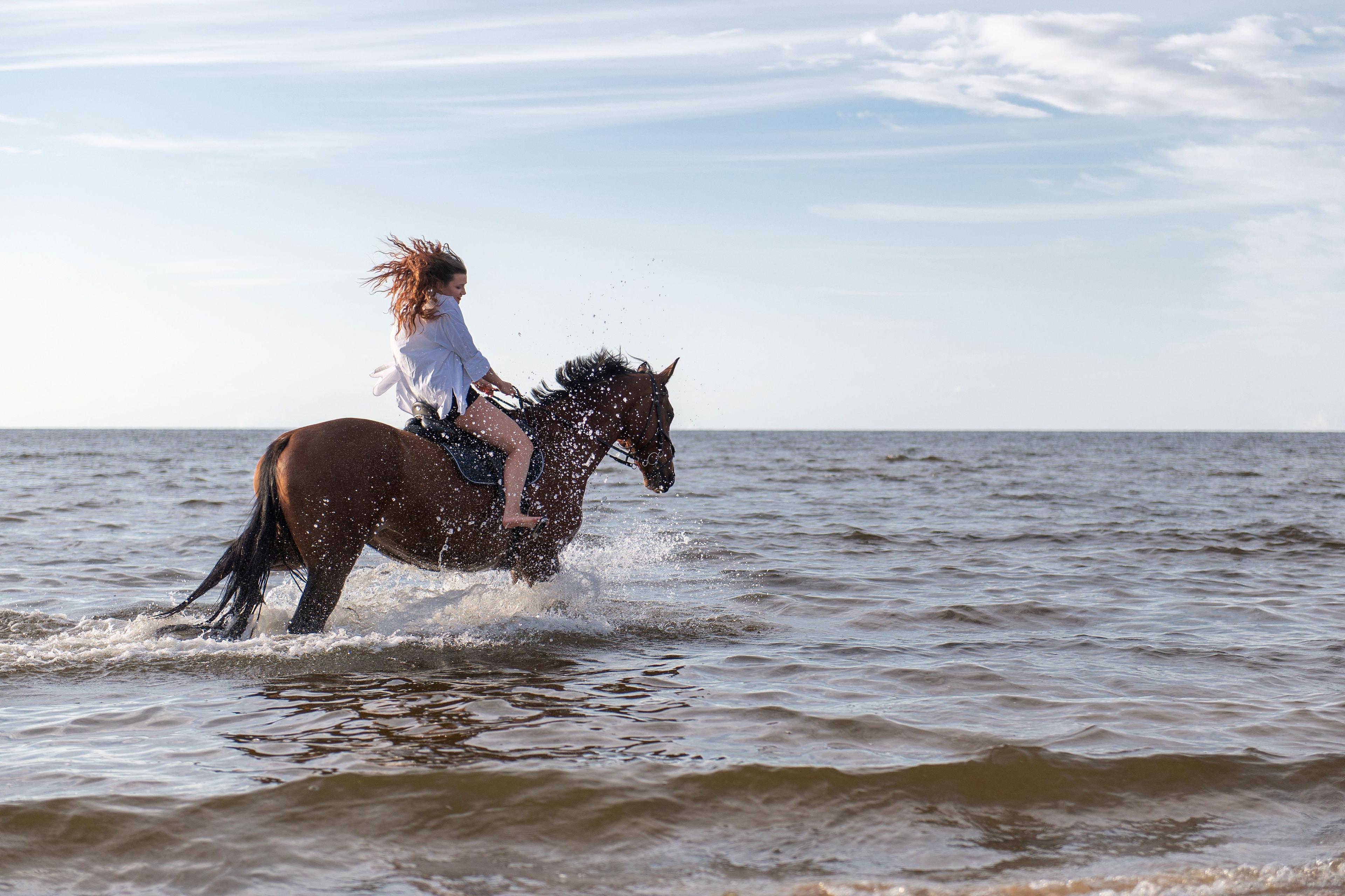Horseback Riding Tour Marsa Alam with Option Horse Swimming - photo 2