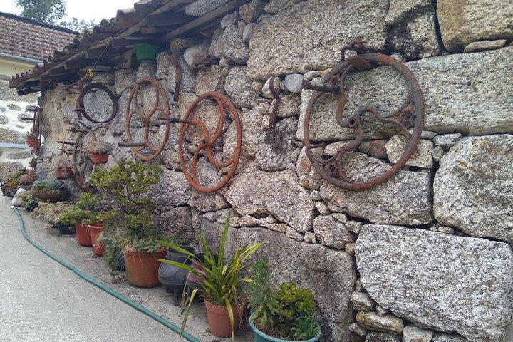 Roots of Minho region - photo 4