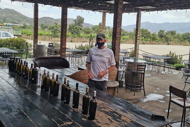 Grand Mexico Wine Country Tour from San Diego - photo 4