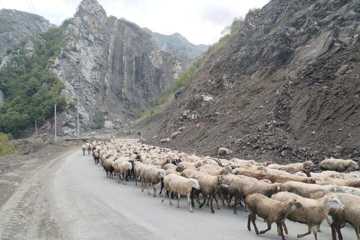 Two Days Shamakhi, Lahij, Gabala and Sheki Private Tour - photo 2