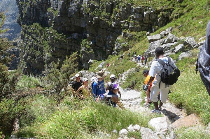 Private Hiking and Trekking on Table Mountain with Guide - cover photo