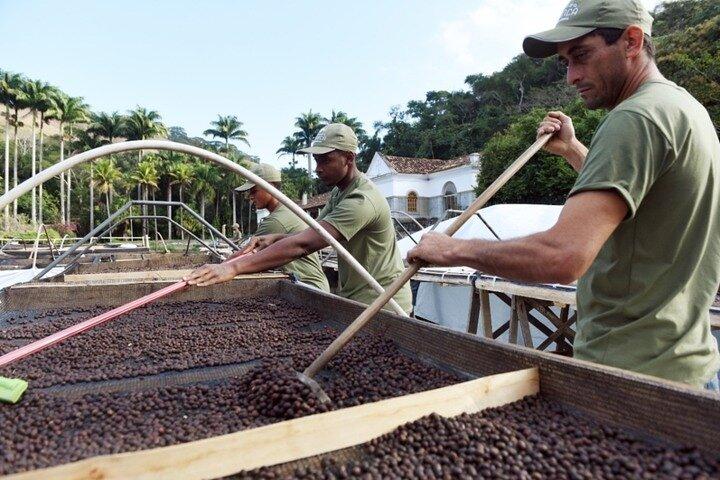 Rural Coffee Farm Tour with Breakfast & Lunch - Roasting & Tasting Experience - photo 5