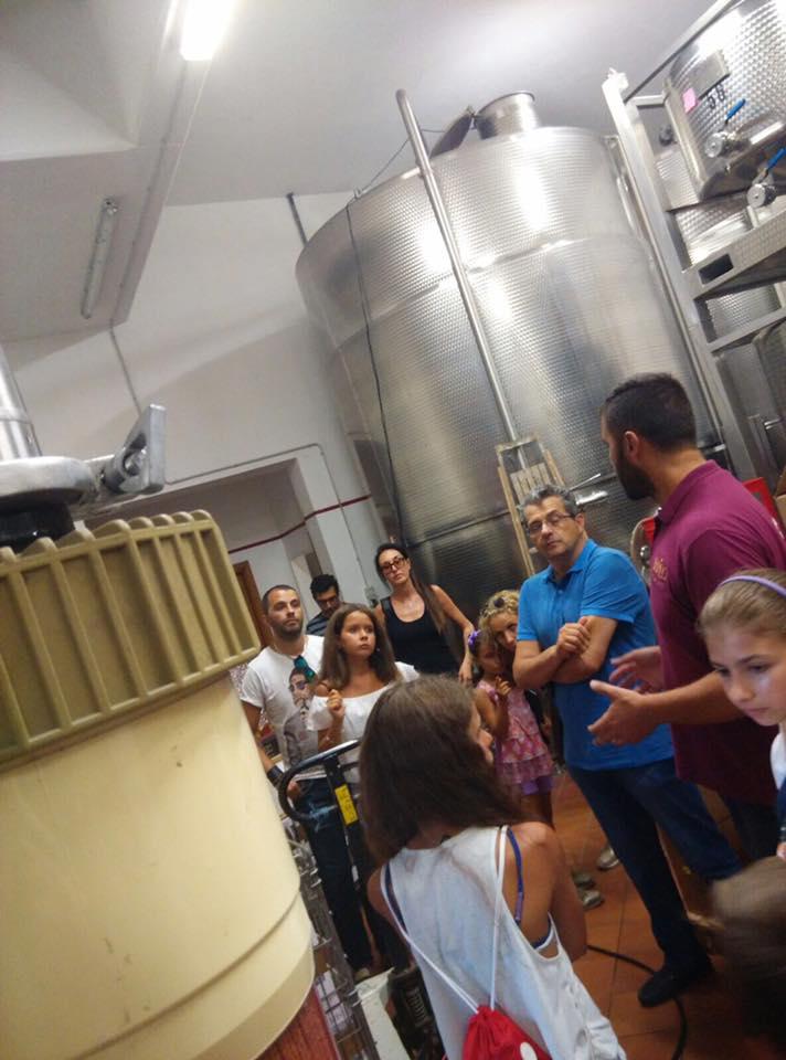 Visita e degustazione in cantina Rapino - photo 4