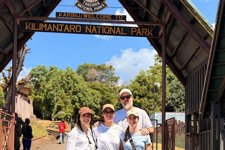 Kilimanjaro Rainforest Day Hike to Mandara Hut – Marangu Route, Tanzania - photo 3