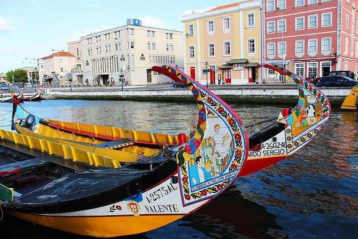 Aveiro and Coimbra Small Group Tour with Moliceiro Boat Cruise - cover photo