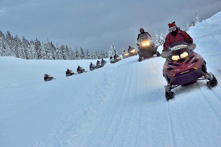 Pamporovo Ultimate Snowmobile Experience - cover photo