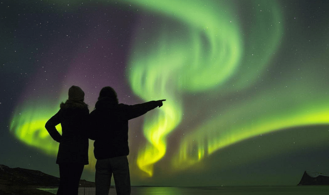 Northern Lights Tour: Cozy Night Adventure with Hot Chocolate - cover photo