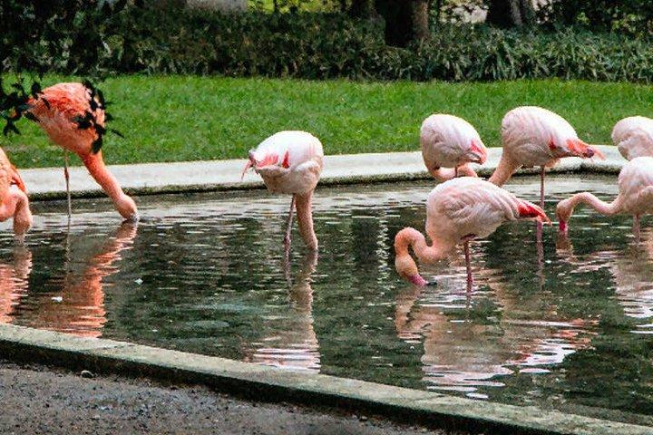 The Secret Milan – An Exclusive Stroll Beyond the Beaten Path - cover photo