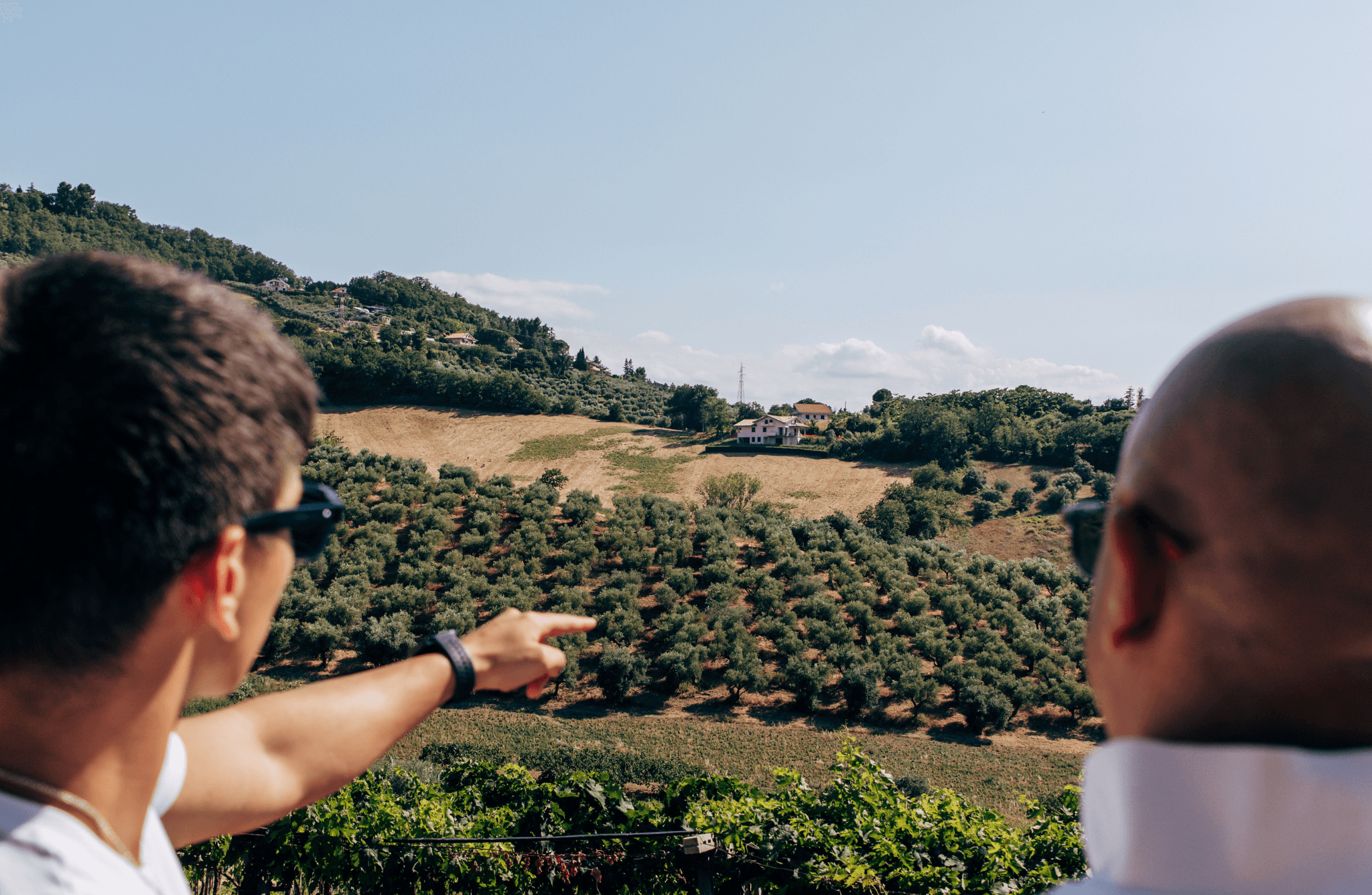 Sustainable Olive Mill Tour with Olive Oil Tasting in Chieti - photo 5