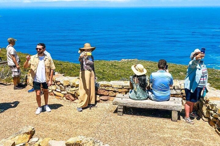 Private Tour from Cape Town to Cape of Good Hope and Cape Point - photo 4