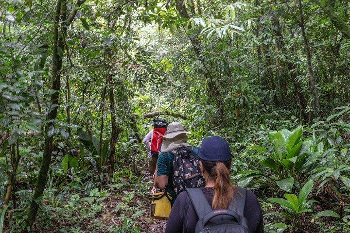 Coastal Trail Adventure in Bertioga: Exploring Natural Beauty - photo 4