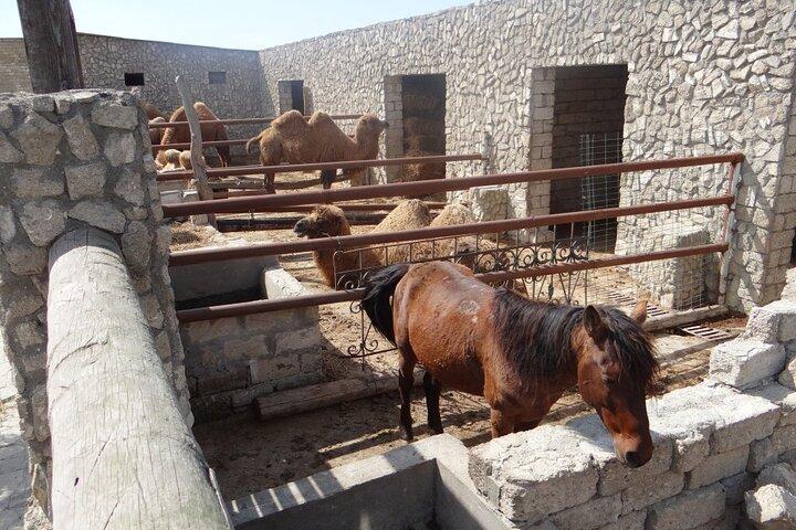 Full Day Archaeological and Ethnographical Private Tour in Baku - photo 3