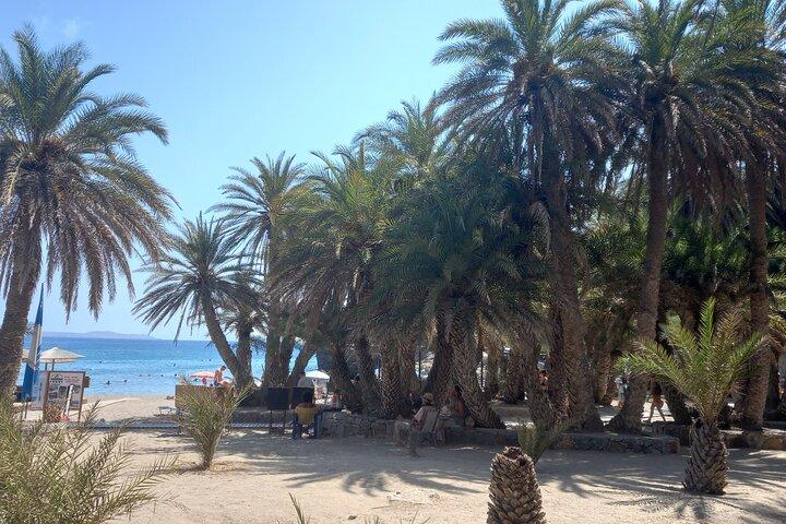 Full Day Private Tour to Vai Palm Beach - photo 3