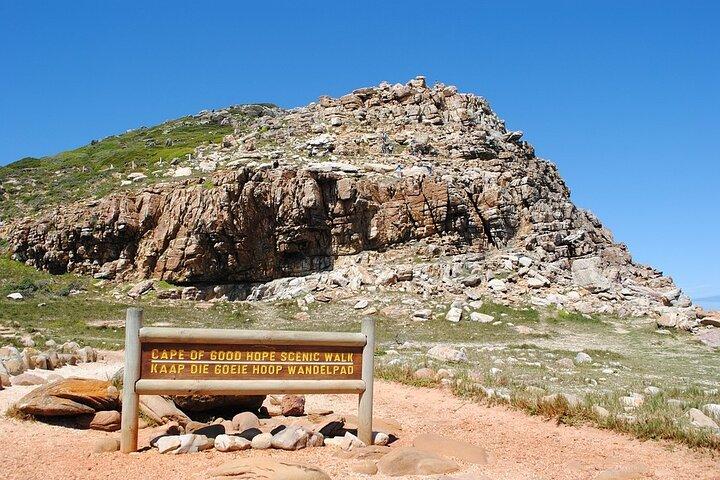 Cape Point ,Cape of Good Hope and Table Mountain Tour . - photo 5
