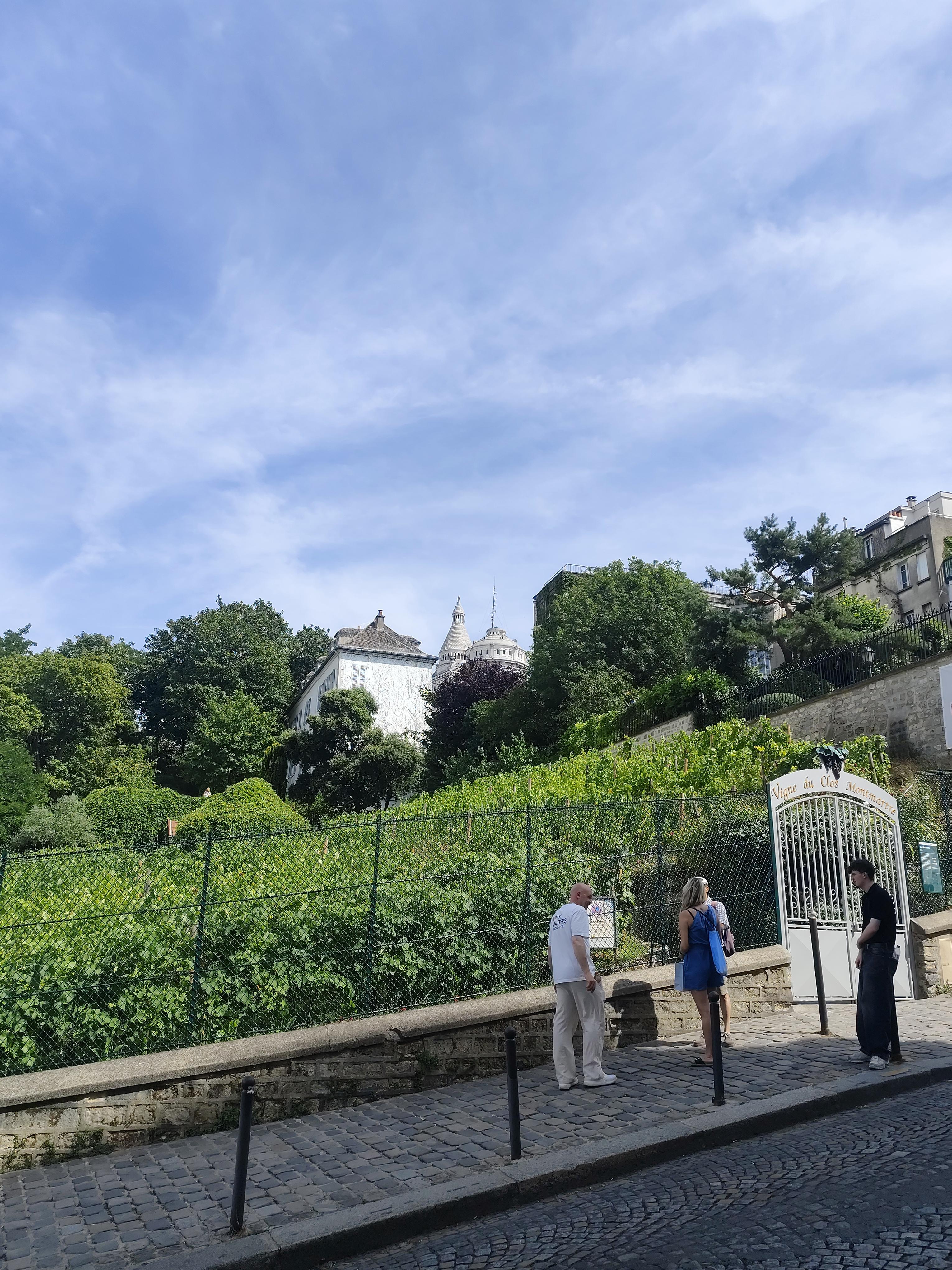 Montmartre: Express Walking Tour 1-Hour - photo 3