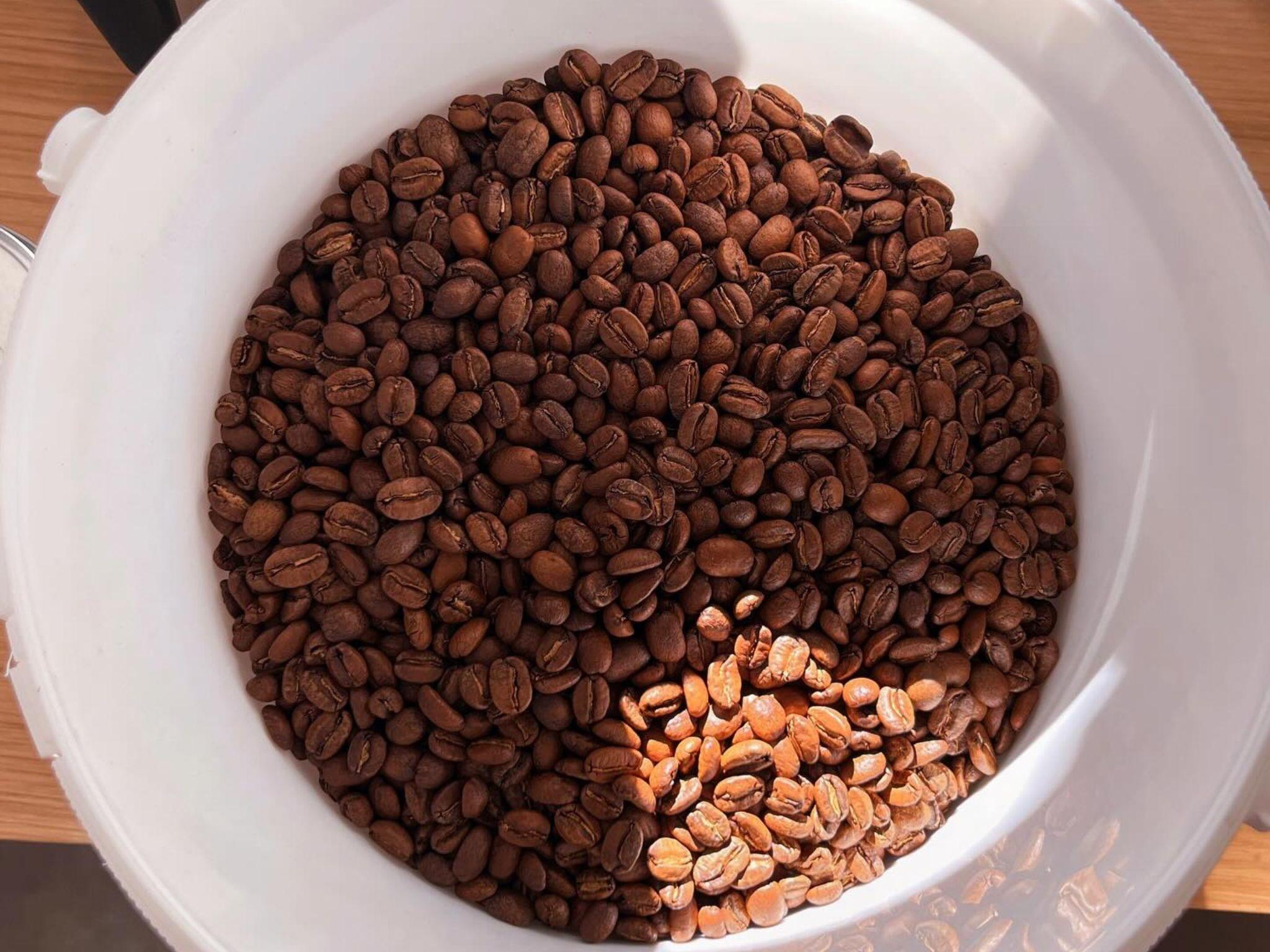 The Specialty Coffee Roastery Tasting Experience in Turin - photo 2