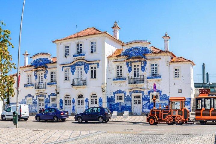Aveiro Small-Group: Half Day Tour with Boat Ride - photo 5