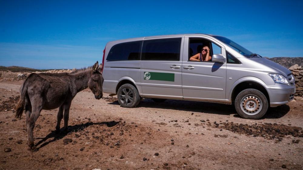 ASINARA ISLAND TOUR - Full Day (Off Road Tour in the National Park) - photo 4