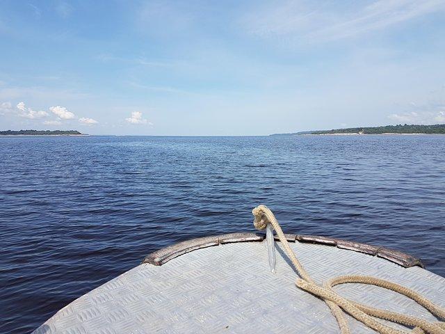 8-Hour Amazonas Jungle Treck & Anavilhanas Archipelago - photo 3
