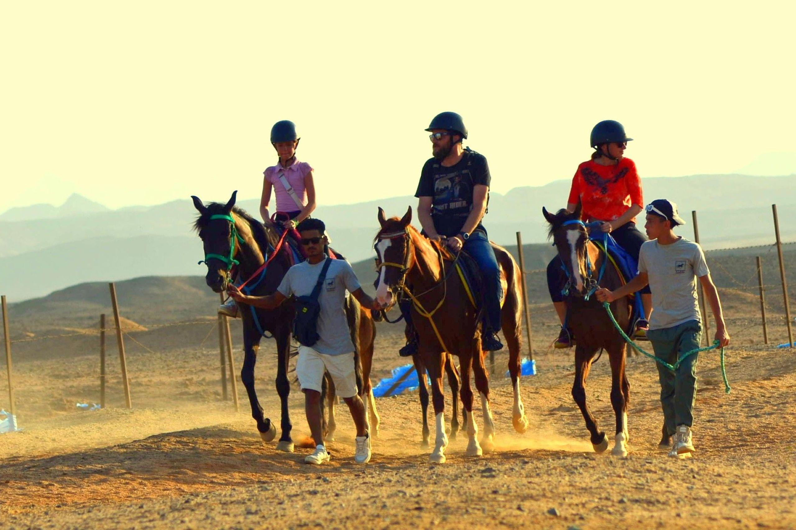 1-Hour Sea Horse Riding Sharm El Sheikh Desert Safari - photo 3