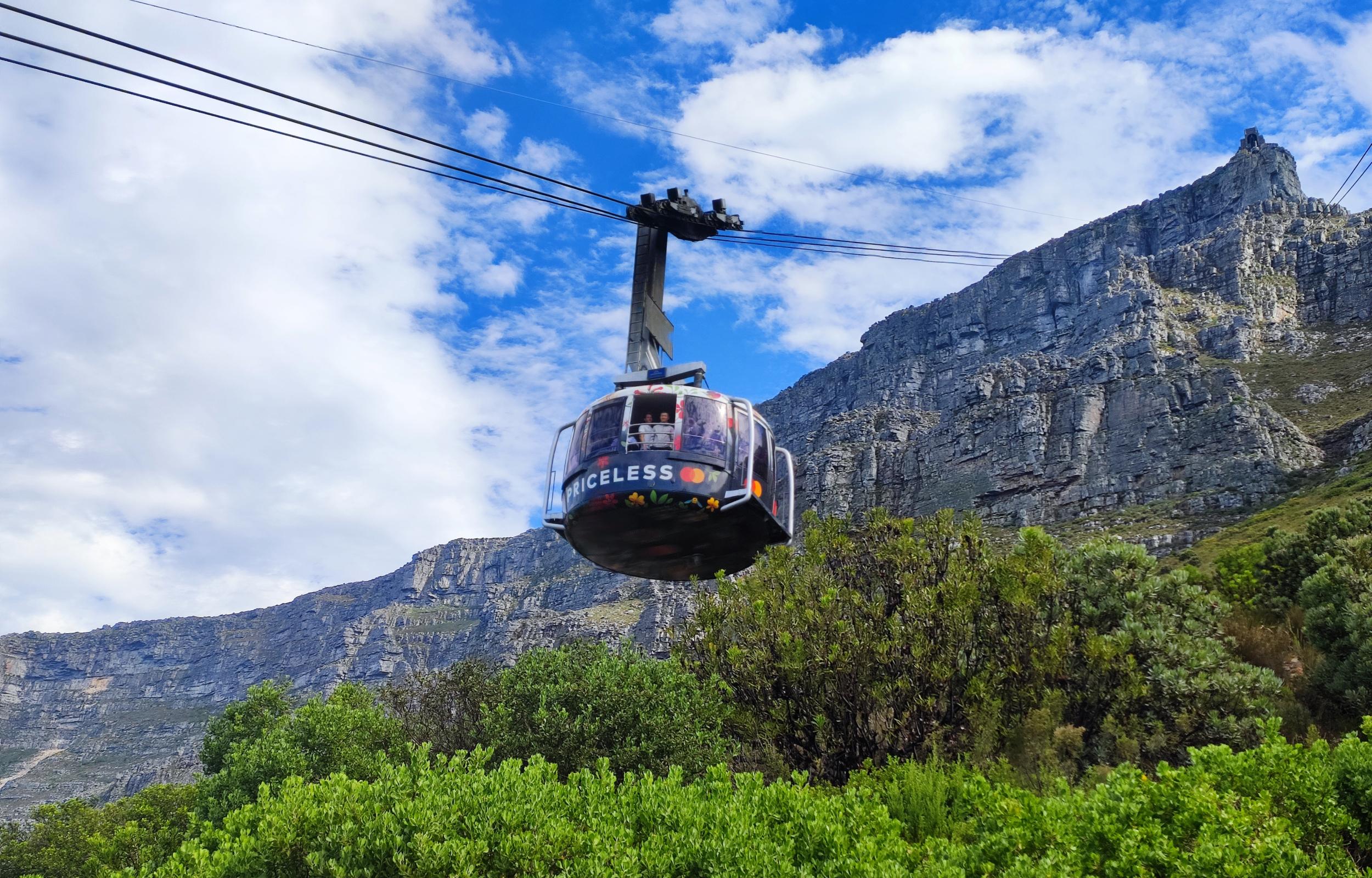 Best of Cape Peninsula: Cape Point, Penguins, Table Mountain - photo 5