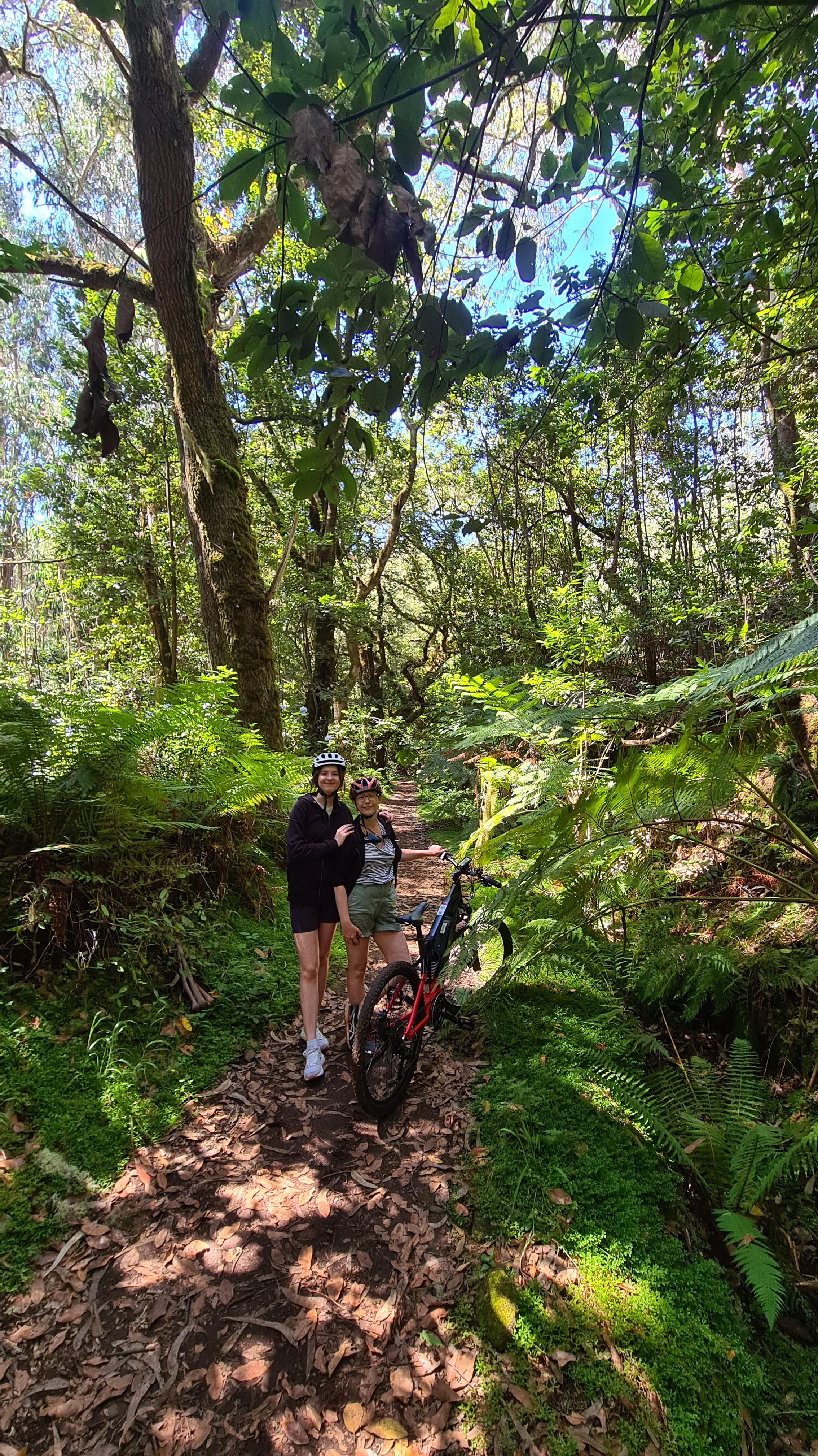 Madeira: Guided E-bike Tour of the North Coast - photo 5
