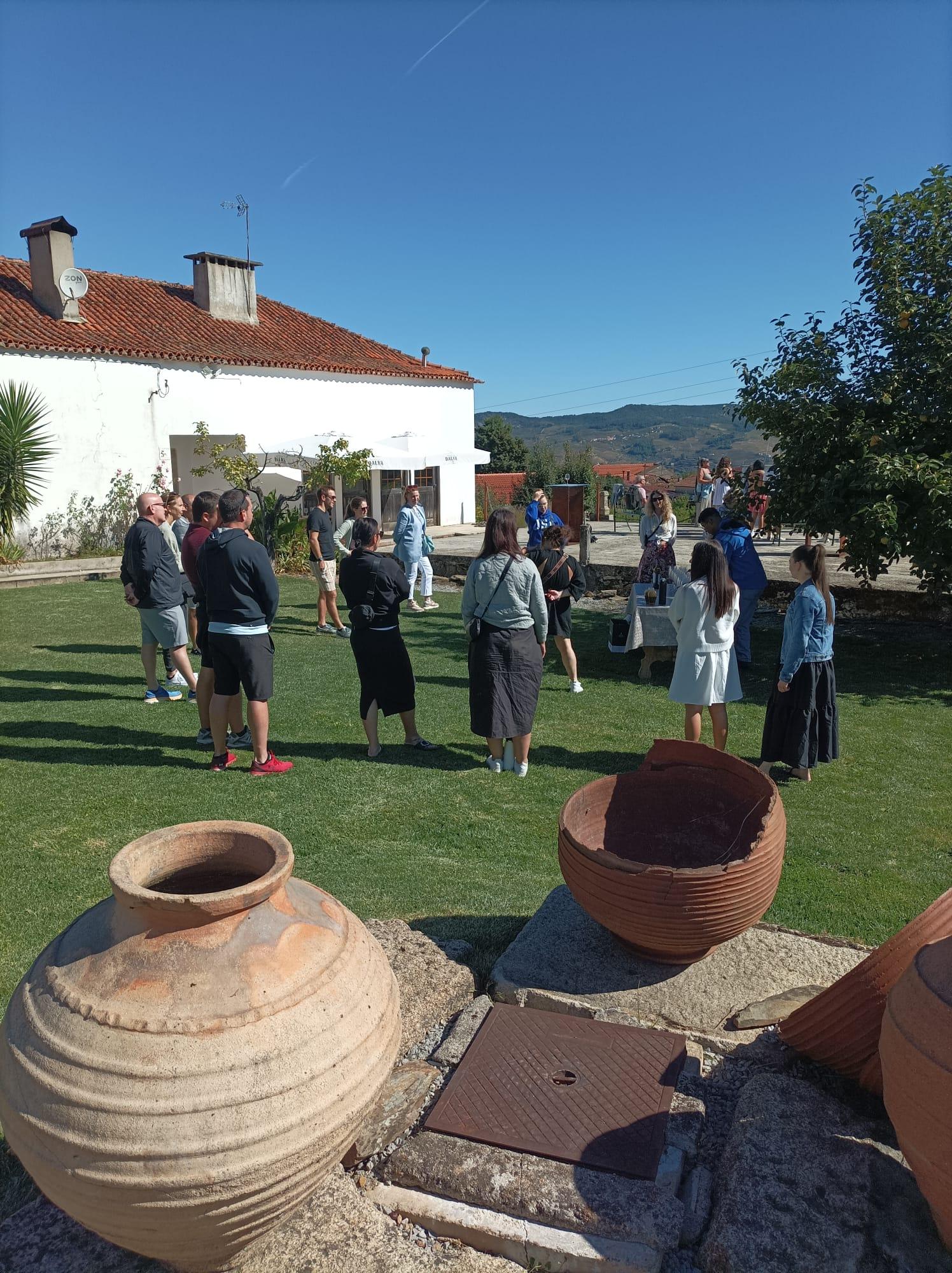 Porto: Douro Valley Tour with 2 Wineries, Lunch and Cruise - photo 3