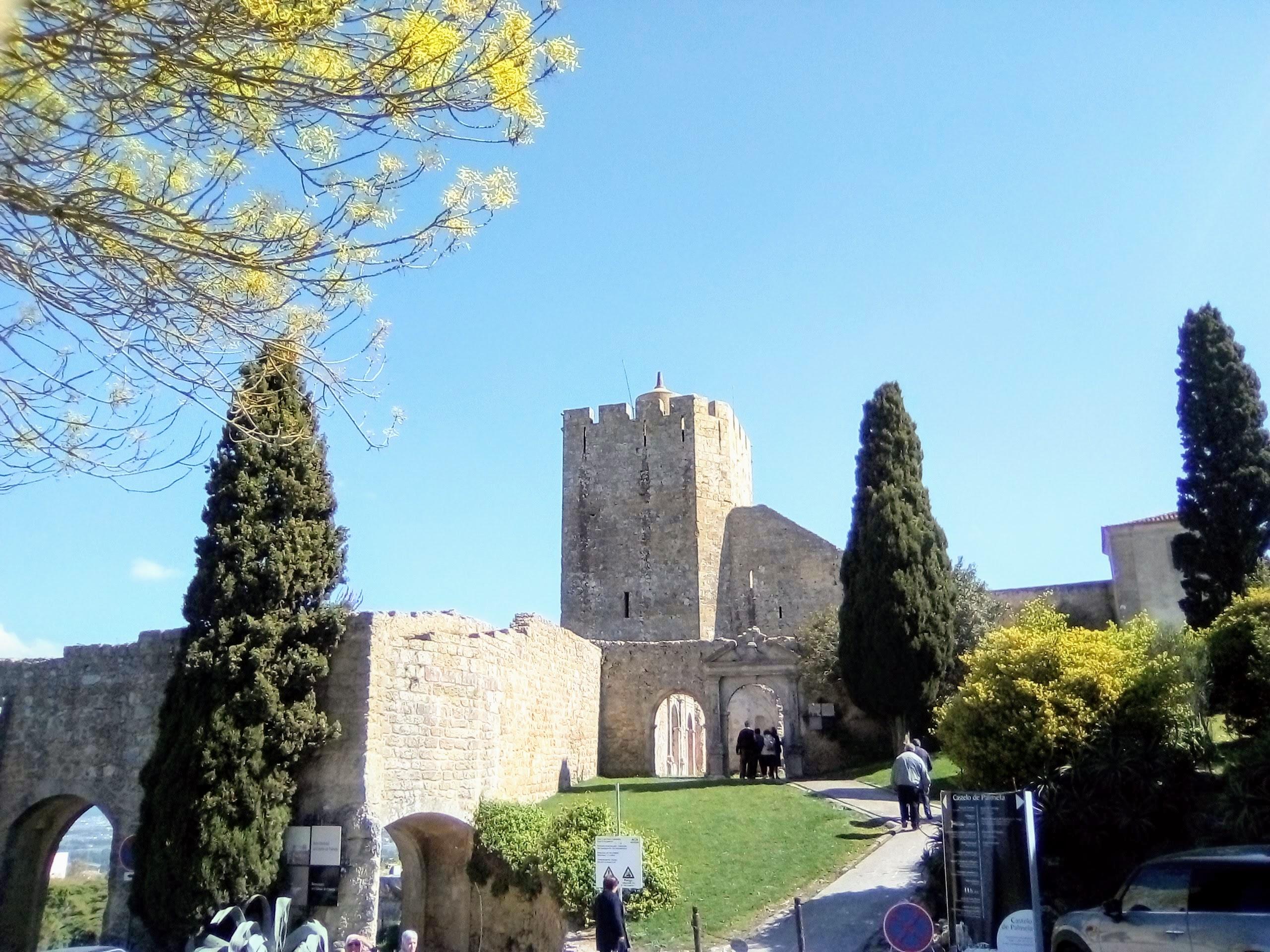 🌟 Tour Castelo de Palmela, Mercado do Livramento, Arrábida - photo 2
